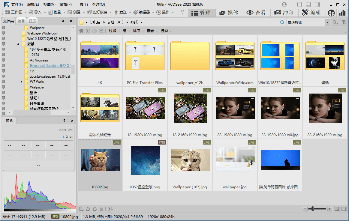 ACDSee 2026 旗舰版 / 专业版 简体中文版-东升资源网